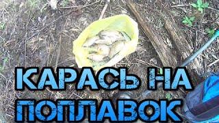 Карась на поплавок в мае