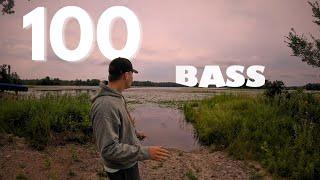 Can I catch 100 bass in 1 day?