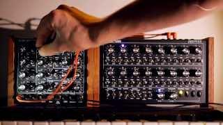 Arjen Schat | Sequential Session: Single Oscillator