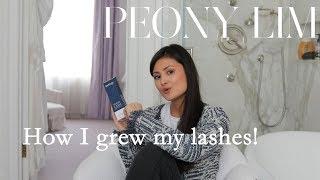 How I grew my lashes - all the secrets revealed!