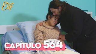 Elif Tercera Temporada Capítulo 564 | Elif Capítulo 564