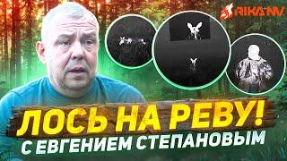 Лось на Реву! Евгений Степанов про то, как манить лося в брачный сезон! Ночная охота с тепловизором.