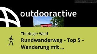 Wanderung im Thüringer Wald: Rundwanderweg - Top 5 - Wanderung mit Weitblick ...