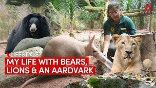 My life as a Night Safari zookeeper with lions, bears and a cute aardvark