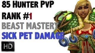 Aquilliah - Level 85 Beast Master Hunter Twink PvP - MoP Patch 5.3.0