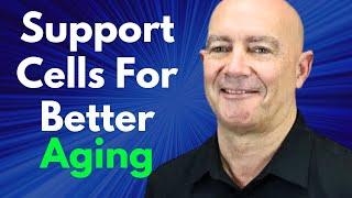 Support Cells For Better Aging With Senolytics & Nootropics | Dr Greg Kelly Interview