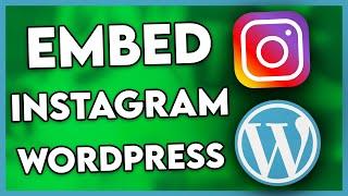 How to Embed Instagram Feed on Wordpress (Step By Step)