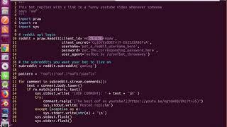 How to make a reddit bot
