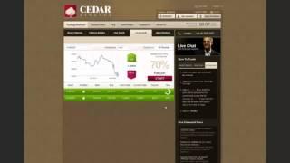 Much Better Than Forex Trading  Revolutionary Binary Options Trading Platform