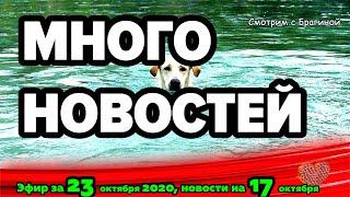 ДОМ 2 НОВОСТИ на 6 дней Раньше Эфира за 23 октября  2020