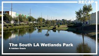 A Glimpse at the South Los Angeles Wetlands Park