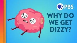 Why Getting Dizzy is Kinda Like Temporary Brain Damage