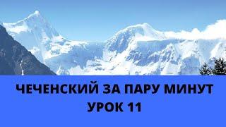 Онлайн изучение чеченского языка. Урок 11. Часть 11. Саунапи Бугачиева