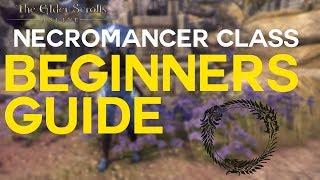 ESO - BEGINNERS GUIDE to Necromancer Class | Elsweyr