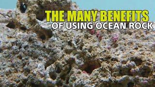 Why use ocean rock for African Cichlids Malawi Setup