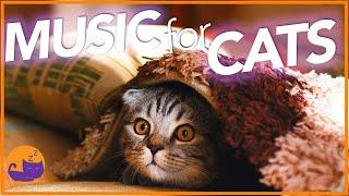 21 HOURS of Non-Stop Relaxing Cat Music - UNBELIEVABLE RESULTS