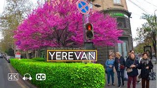 Walking Tour Yerevan, Armenia, Step by steps to the Spring Tree, Apr 14, 2024, 4K 60fps