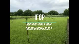 Фундук/Украина. Feedback от фундуководов. Iгор, Чернiгiв-Gebiet (2.2) 2024.