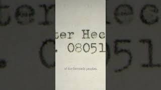 Was the Sign of the SS an Ancient Germanic Rune?