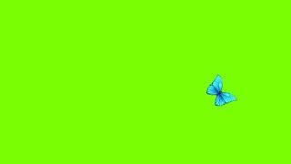 Green Screen Blue Butterfly video effects | Animated butterfly green screen