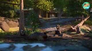 PHOTOREALISTIC Boar Habitat in Planet Zoo! Black Forest Edition