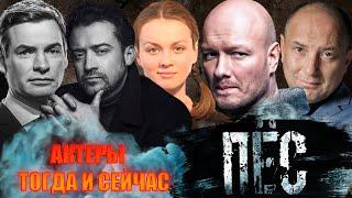 ПРОШЛО БОЛЬШЕ 6 ЛЕТ// Актёры телесериала "ПЁС" "ТОГДА" и "СЕЙЧАС"