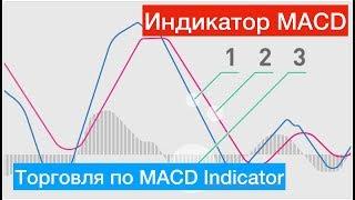 Индикатор MACD, как применять. Торговля по MACD Indicator