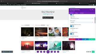 Divi FilterGrid - MultiLevel Filters