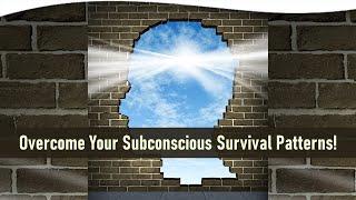 The Illusion of Powerlessness: How To Overcome Subconscious Survival Patterns | Dr Friedemann Schaub