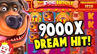 DOG HOUSE MEGAWAYS  SUPER BIG WIN!!