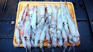 Catch and Cook SQUID (JIGGING for Squid!!)