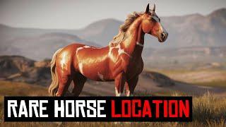 9 BEST HORSE LOCATION IN RDR2