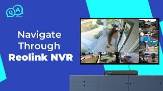 Navigate through the Reolink NVR — Reolink NVR Overview | You Ask, We Answer