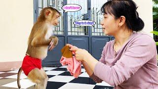 Monkey Lyly secretly asked her aunt for help because she accidentally got her clothes dirty.