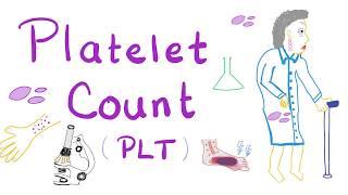 Platelet Count (PLT)