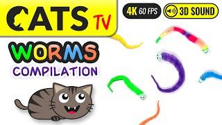 GAME FOR CATS - Worms compilation  4K  60FPS  3 HOURS [Cats TV]