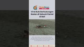 Viral Bule Berhubungan Badan di Sebuah Pantai di Bali