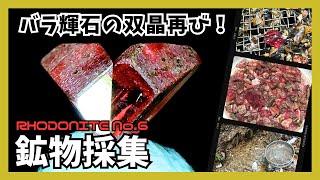 【鉱物採集】バラ輝石の結晶探し！双晶再び！！沢のお掃除【みなも＆ぴろこ】RHODONITE No.6