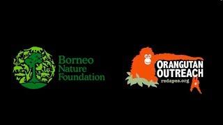 Borneo Nature Foundation Forest Boardwalk 2017