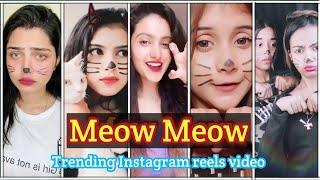 meow meow instagram reels trend _ cute cat expressions