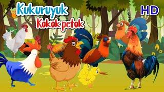 Kukuruyuk Kokok petok | Suara Ayam Jantan Dan Ayam betina | Lagu Anak Terbaru