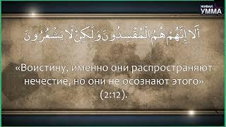 Бросившие Газу на погибель не в состоянии противостоять оккупации