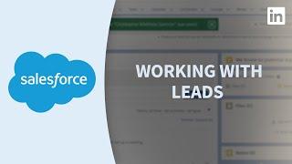 Salesforce Tutorial - Working with leads