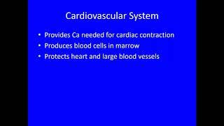 Video 6 - Skeletal System - Skeletal System & Homeostasis