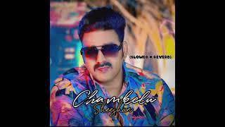 #lofi Chamkelu Sheeshan Jaisan ||  Lofi song (slowed X reverb) ||pawan singh #pawansingh