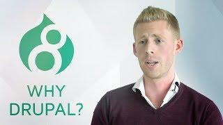 Why Drupal as a platform to drive your business?