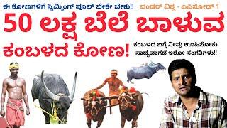 50 ಲಕ್ಷ ಬೆಲೆ ಬಾಳುವ ಕಂಬಳದ ಕೋಣ | Kambala Interesting Documentary | Wonder Vishwa Ep 1 | Kalamadhyam |