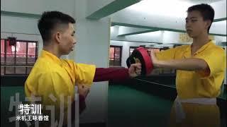 Le futur du  Mai gei wong wing chun