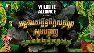 តោះៗ....!!!​ យើងមើលសកម្មភាពដើរលេងនៅជីផាត កោះកុង 