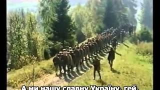 Червона Калина. Гимн УПА (Гімн Січових Стрільців). The Anthem Of The UPA.